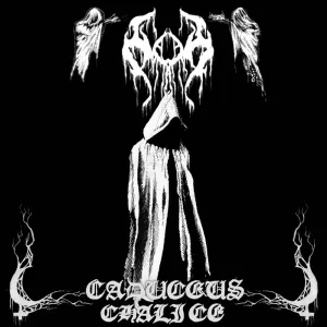Forest Samhain
