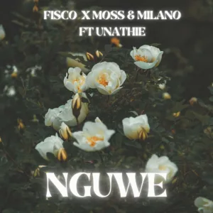 Nguwe