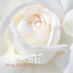Bring Him Home