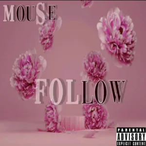 FOLLOW (Extended Version)