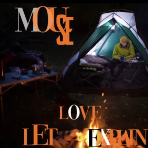 LET LOVE EXPLAIN