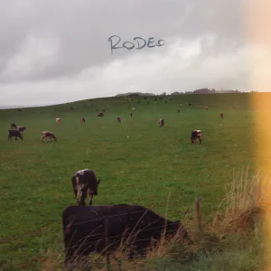 Rodeo