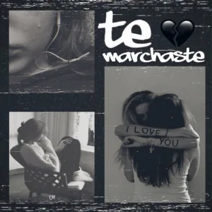 te marchaste