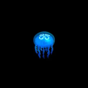 Introezy