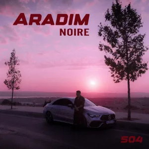 ARADIM