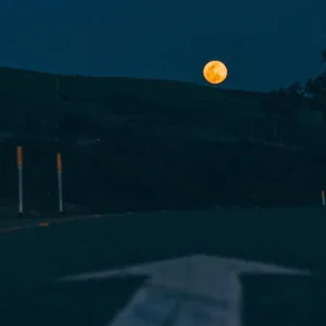 moonlight echoes