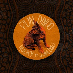 Run Dingo
