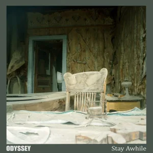 Stay Awhile