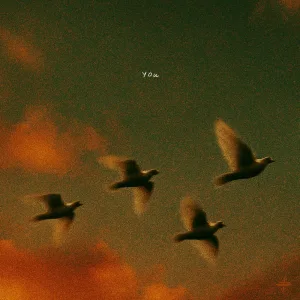 You