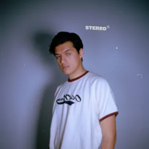 Ignorin