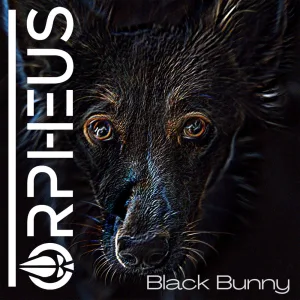 Blackbunny