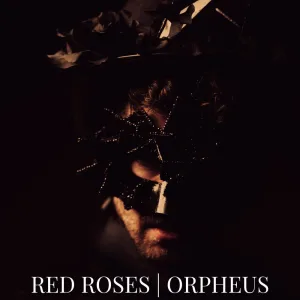 Red Roses