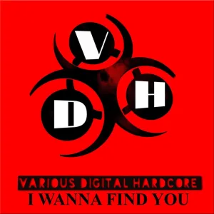 I Wanna Find You