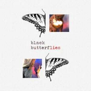 Black Butterflies