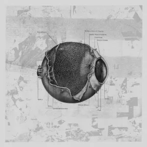 LFO Unit (Original)