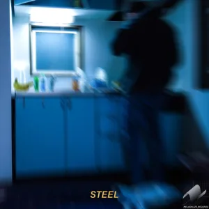 Steel