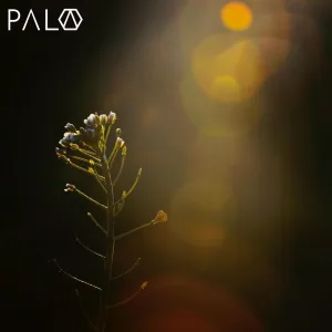 New