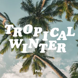 Tropical Winter