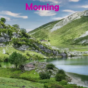 Morning