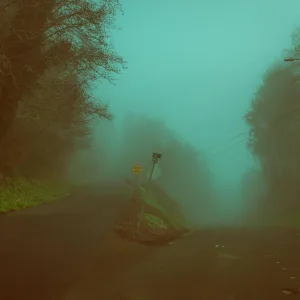 T I D E