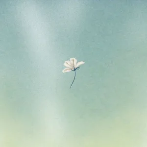 Air