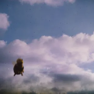 Elephant Gun