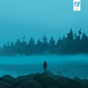 Introspection