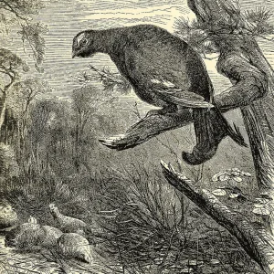 Run
