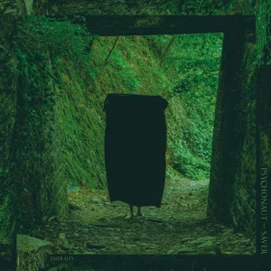 Dimensions Lost