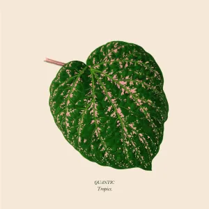 Born Again