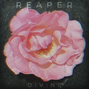 DIVINE
