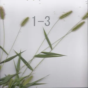 Some