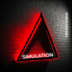 Simulation