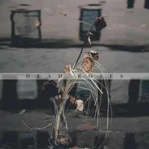 Dead Roses (Live Session)
