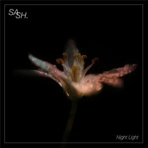Night Light