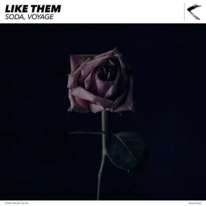 Like Them