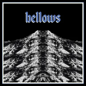 Bellows
