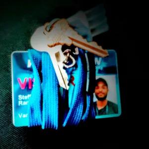Free Tory