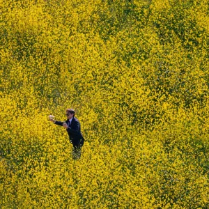 WILDFLOWER