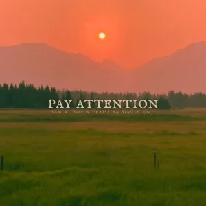 Pay Attention