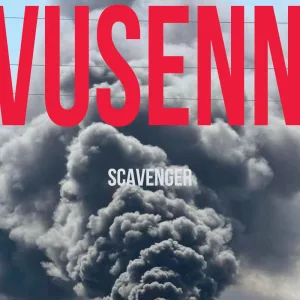 Vusenn