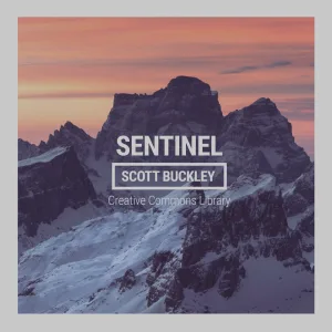 Sentinel