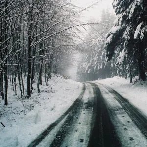 Winter