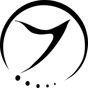 Vector Director
