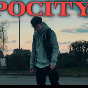 Pocity