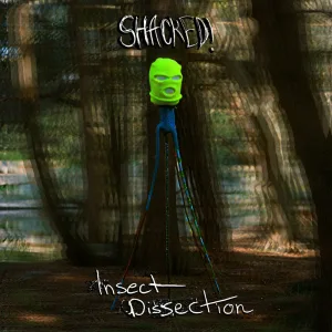 Insect Dissection