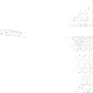 Xex Loader
