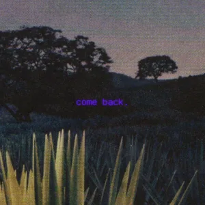 come back