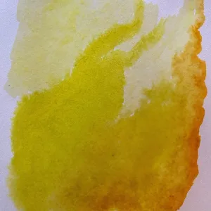Psilocybe Objective
