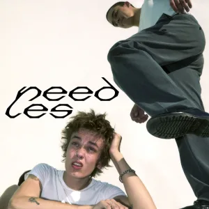 NEEDLES